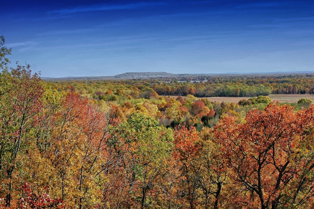 Arkansas landscape