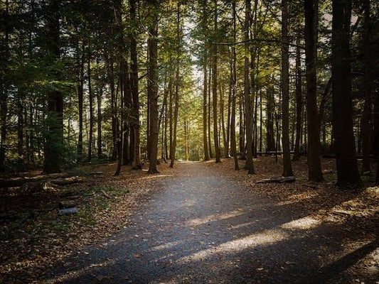 Maryland is an off the beaten path ATV destination.