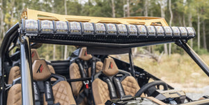 Polaris RZR PRO R Roll Cage (4-Seat)